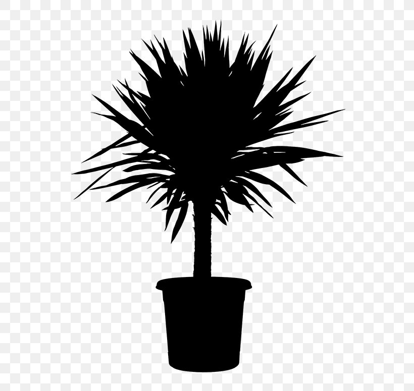 Asian Palmyra Palm Clip Art Watercolor Painting Plants Palm Trees, PNG, 600x775px, Asian Palmyra Palm, Arecales, Blackandwhite, Borassus, Clothing Download Free