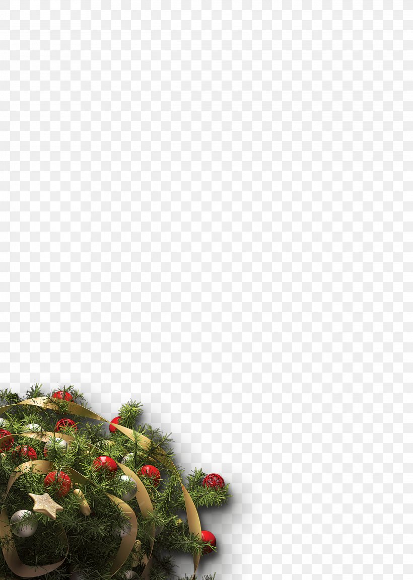 Christmas Tree Christmas Ornament, PNG, 2539x3567px, Christmas Tree, Christmas, Christmas Decoration, Christmas Gift, Christmas Ornament Download Free