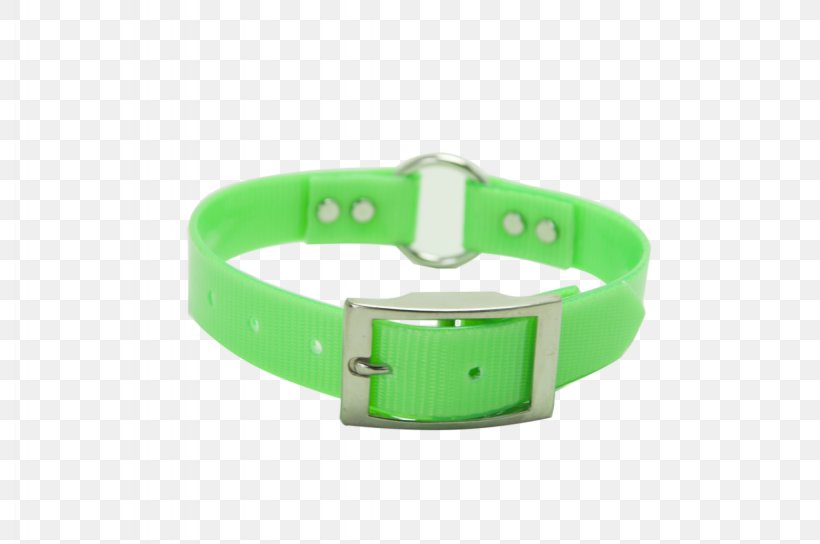 Dog Collar Watch Strap, PNG, 2048x1360px, Dog Collar, Clothing Accessories, Collar, Dog, Green Download Free