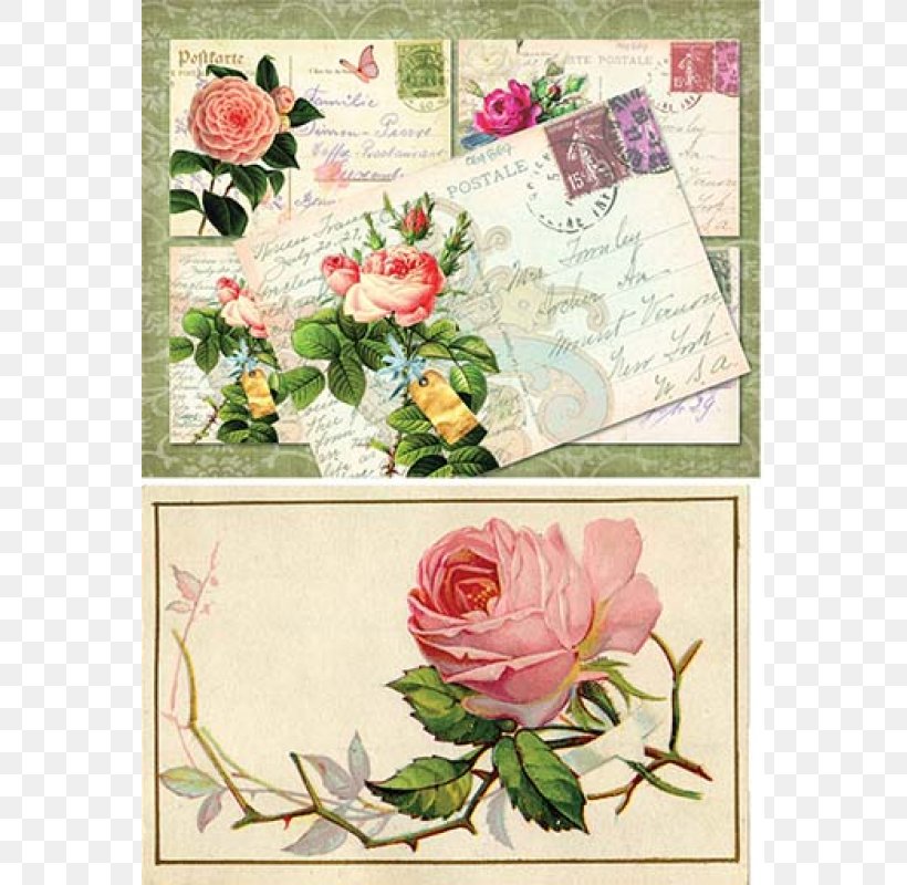 Floral Design Garden Roses Cut Flowers Greeting & Note Cards, PNG, 800x800px, Floral Design, Art, Cut Flowers, Flora, Floristry Download Free