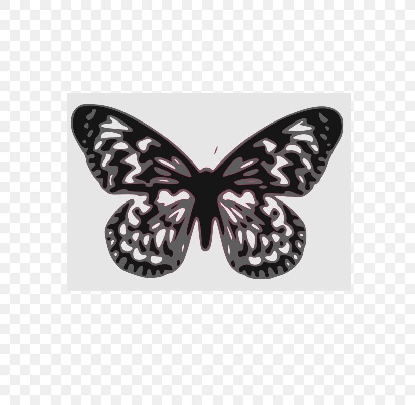 Monarch Butterfly Papillon Dog Clip Art, PNG, 566x800px, Butterfly, Art, Black And White, Brush Footed Butterfly, Butterflies And Moths Download Free