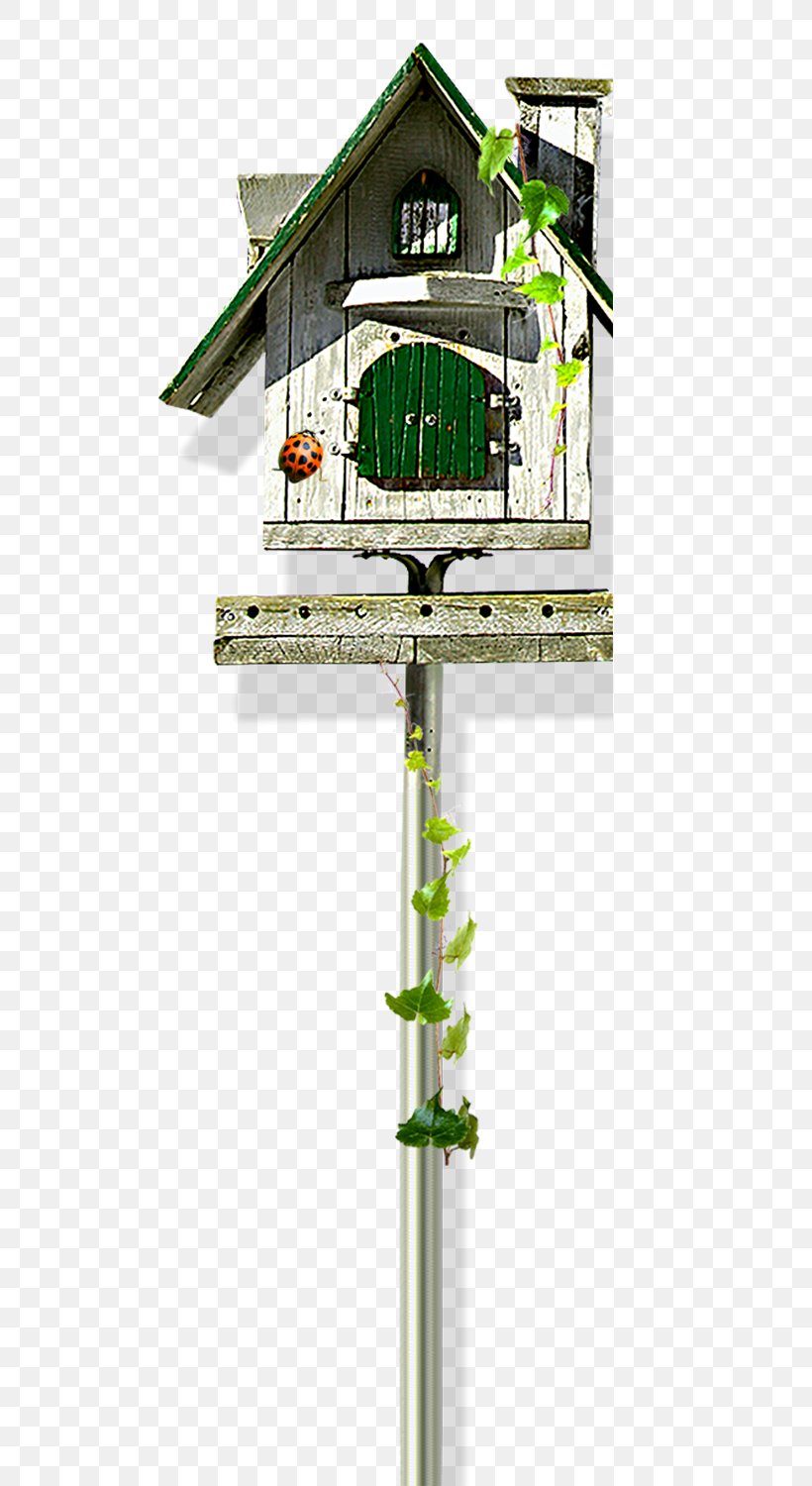 Cartoon Drawing Painting, PNG, 700x1500px, Cartoon, Animation, Bird Feeder, Birdhouse, Designer Download Free