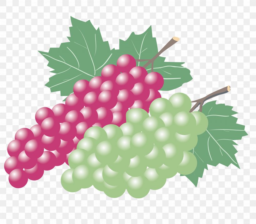 Kyoho Grape Wine Zante Currant Seedless Fruit, PNG, 4867x4255px, Kyoho, Berry, Common Grape Vine, Flowering Plant, Food Download Free