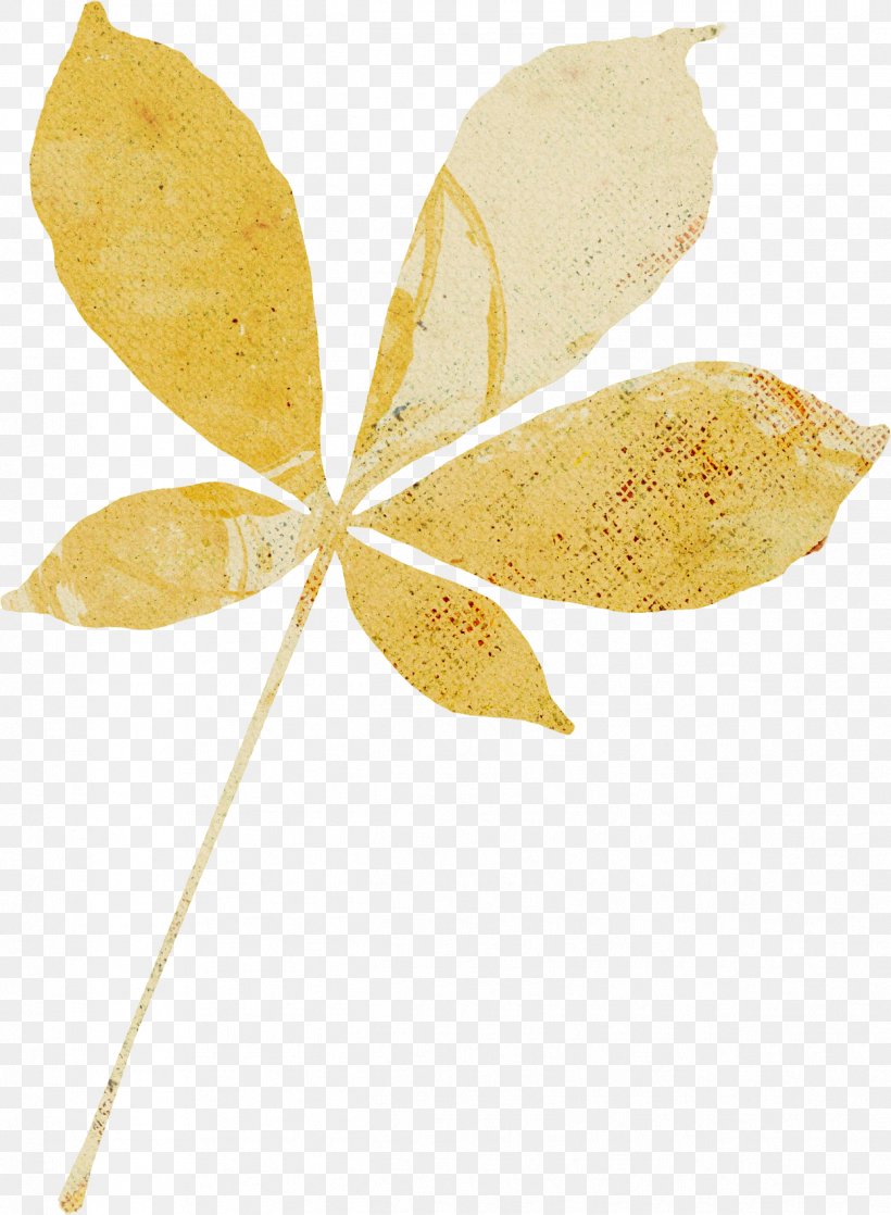 Leaf Clip Art Photography Осенние листья, PNG, 1247x1701px, Leaf, Branch, Chestnut, Creativity, Megabyte Download Free