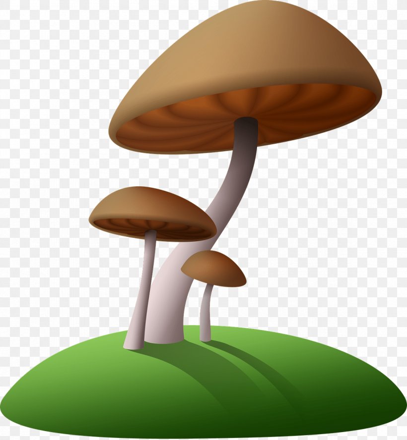 Mushroom Hunting Amanita Muscaria Fungus Chanterelle, PNG, 1181x1280px, Mushroom, Agaric, Amanita Muscaria, Boletus, Cartoon Download Free
