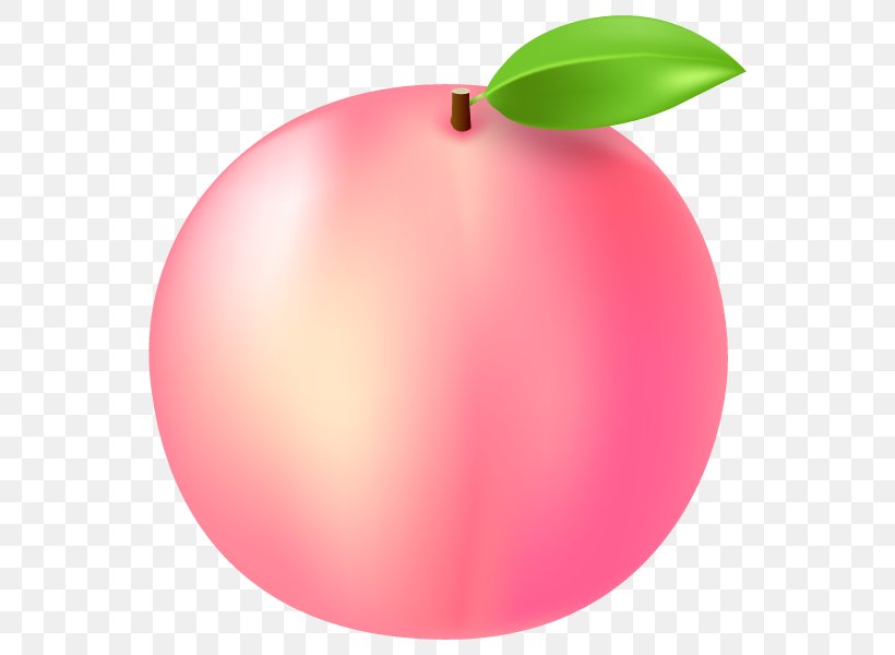 Peach Illustration Nectar Image Juice, PNG, 600x600px, Peach, Apple, Flower, Food, Fruit Download Free