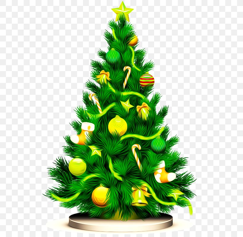 Christmas Tree Clip Art, PNG, 573x800px, Christmas Tree, Christmas, Christmas Decoration, Christmas Ornament, Conifer Download Free