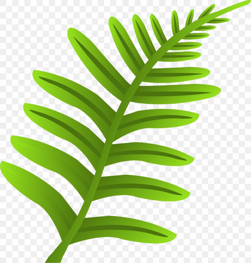 Leaf Plant Stem Font, PNG, 2000x2095px, Leaf, Grass, Plant, Plant Stem Download Free