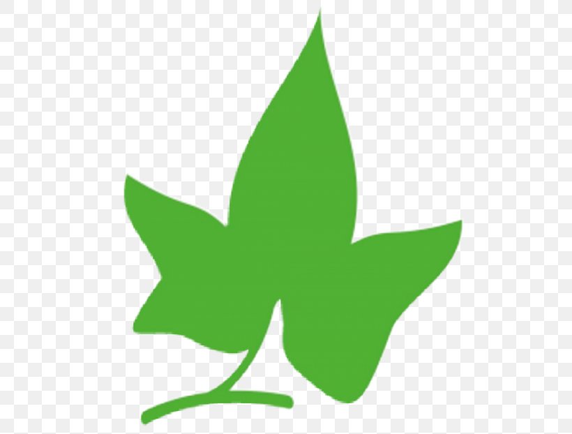 Leaf Plant Stem Tree Clip Art, PNG, 550x622px, Leaf, Grass, Green, Plant, Plant Stem Download Free