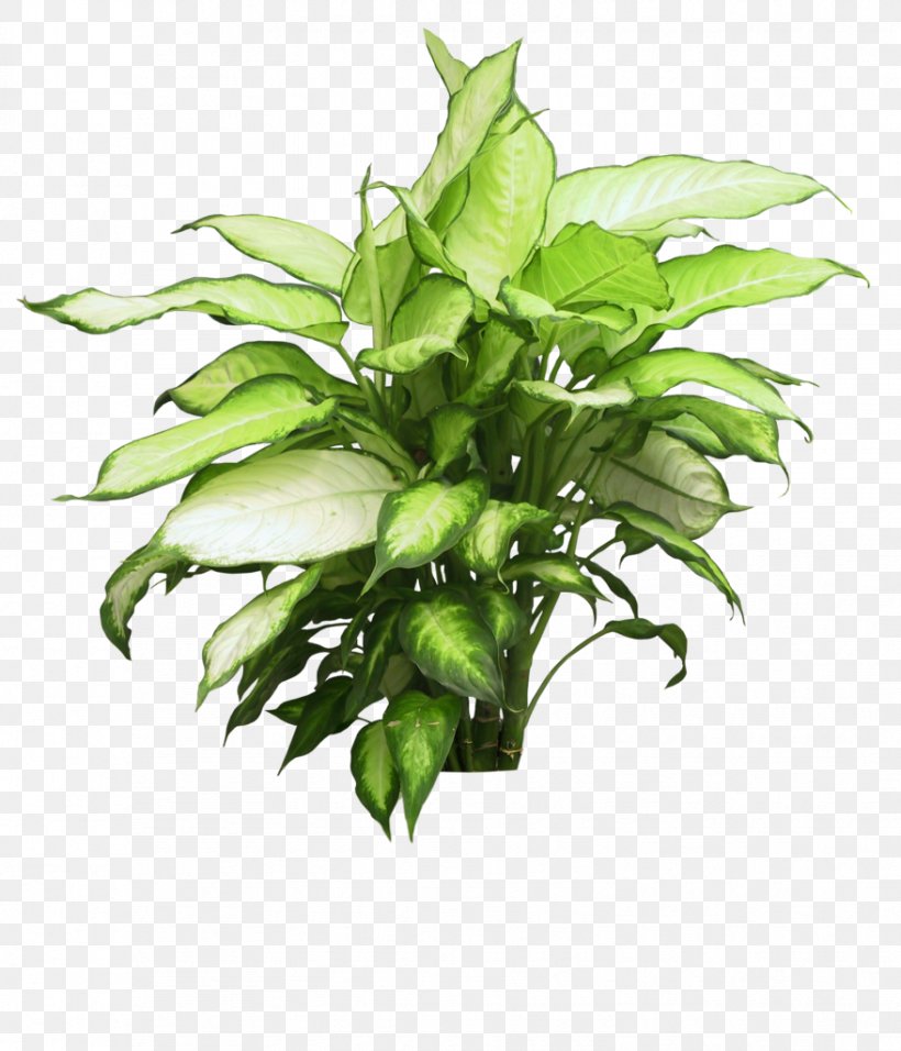 Clip Art Flowerpot Houseplant Image, PNG, 878x1024px, Flowerpot, Chamaedorea Elegans, Herb, Houseplant, Leaf Download Free