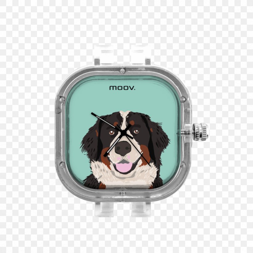 Puppy Moovwatches Bracelet Clock, PNG, 1000x1000px, Puppy, Art, Australian Shepherd, Bag, Border Collie Download Free