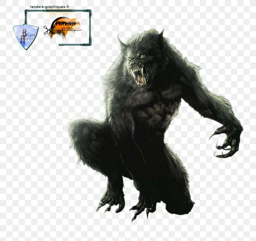 Werewolf Gray Wolf Drawing Clip Art, PNG, 800x771px, Werewolf, Chimpanzee, Common Chimpanzee, Drawing, Fauna Download Free