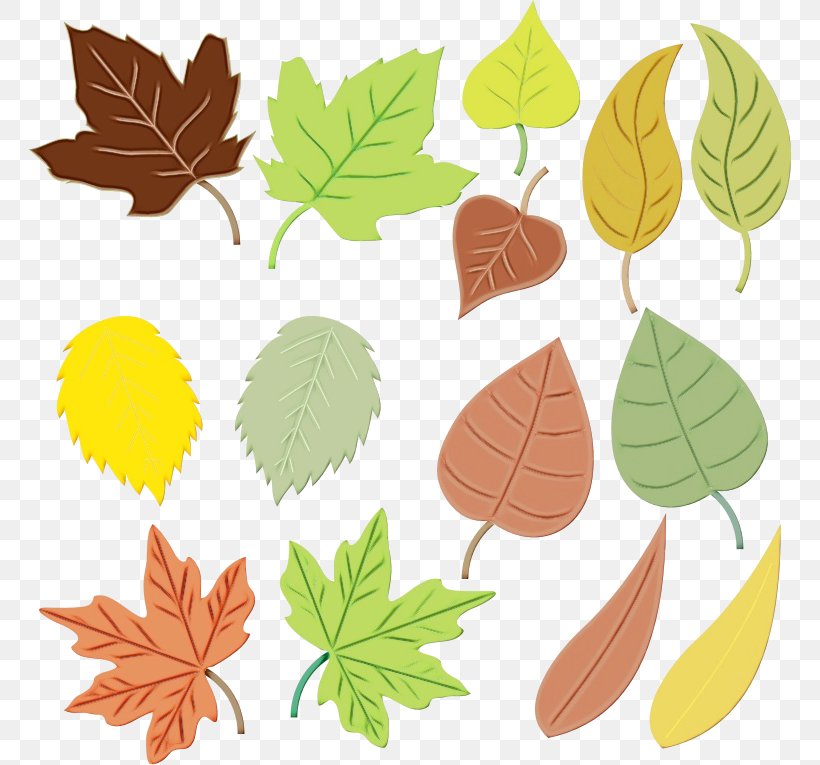 Autumn Tree Silhouette, PNG, 764x765px, Watercolor, Autumn Leaf Color, Black Maple, Flower, Herbaceous Plant Download Free