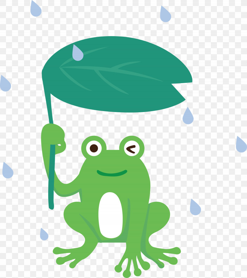 Frogs Tree Frog Logo Cartoon Meter, PNG, 2665x3000px, Frog, Cartoon, Frogs, Green, Logo Download Free