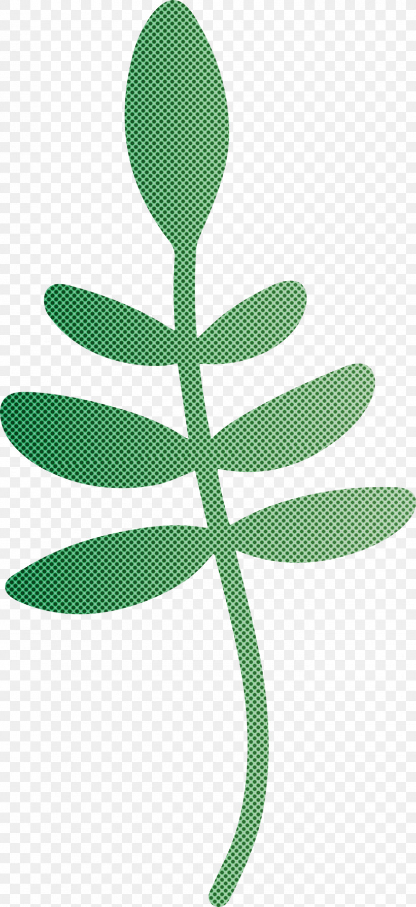 Leaf Plant Stem Tree Flower Green, PNG, 1377x3000px, Leaf, Flower, Green, Line, M Download Free