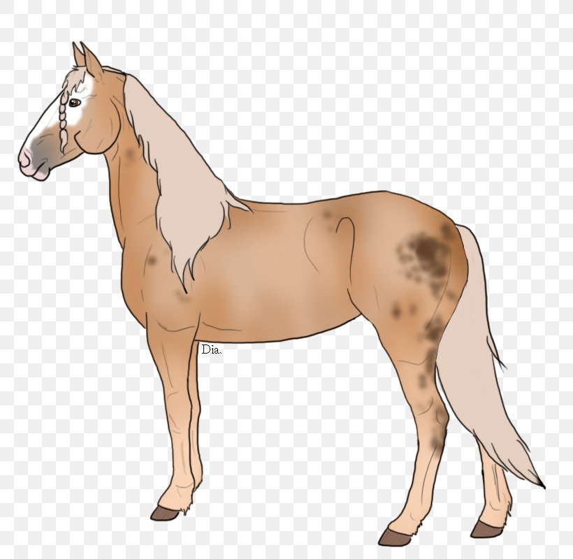Mule Foal Stallion Mare Colt, PNG, 800x800px, Mule, Bridle, Colt, Donkey, Fictional Character Download Free