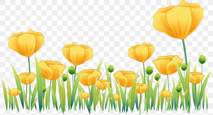 Poppy Tulip Clip Art, PNG, 1200x652px, Poppy, Common Poppy, Cut Flowers, Field, Flower Download Free