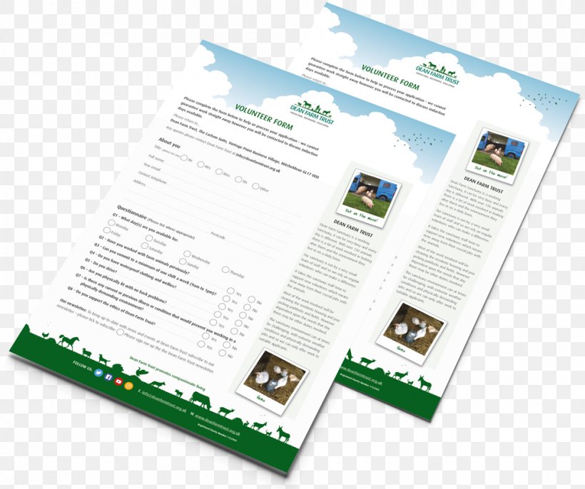 Volunteering Brochure Brand, PNG, 1000x837px, Volunteering, Advertising, Animal, Application For Employment, Brand Download Free