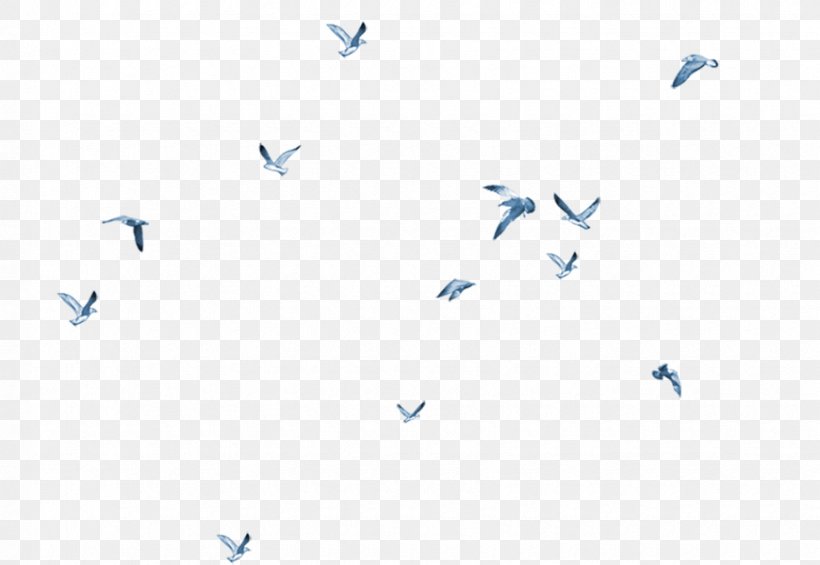 Bird, PNG, 870x600px, Bird, Area, Bird Colony, Blue, Flight Download Free