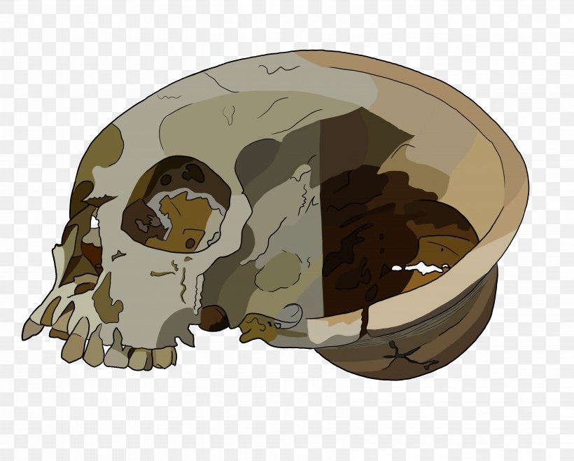 Bronze Age Achavanich Skull Burial Bone, PNG, 6675x5364px, Bronze Age, Artificial Cranial Deformation, Bone, Bronze, Burial Download Free