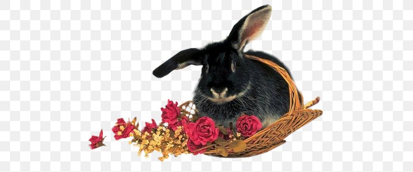 Easter Bunny Rabbit Animated Film, PNG, 500x341px, Easter Bunny, Animal, Animated Film, Blog, Domestic Rabbit Download Free