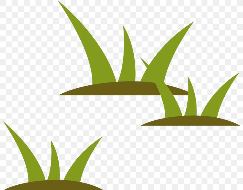 Lawn, PNG, 800x641px, Lawn, Animation, Grass, Grass Family, Grasses Download Free