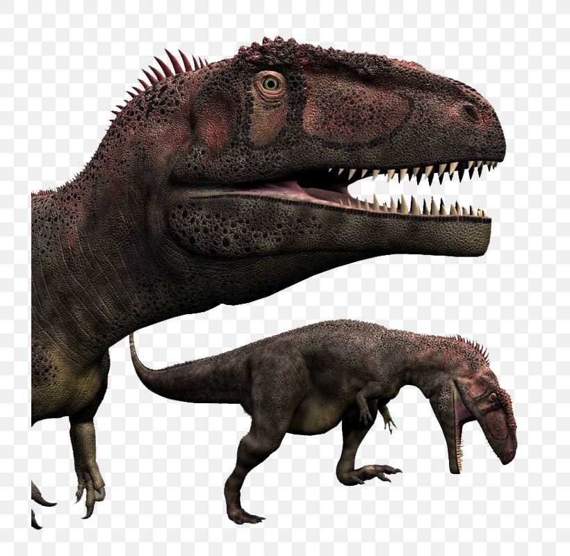 Tyrannosaurus Mapusaurus Acrocanthosaurus Giganotosaurus Dinosaur, PNG, 730x800px, Tyrannosaurus, Acrocanthosaurus, Animal, Argentinosaurus, Carcharodontosaurus Download Free