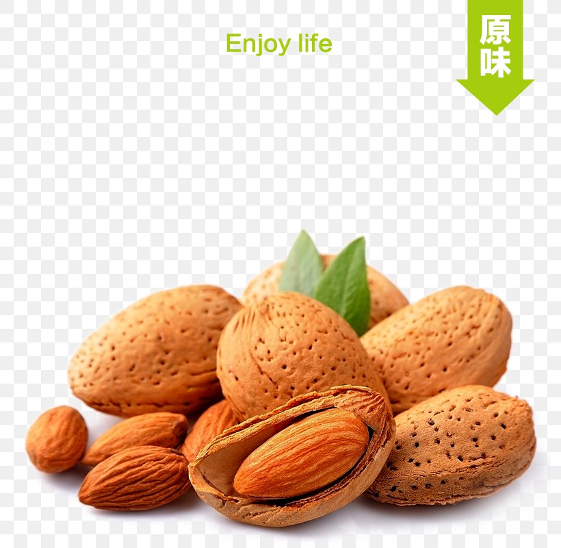 Almond Stuffing Nut Apricot Kernel, PNG, 800x800px, Almond, Almond Oil, Apricot Kernel, Cosmetics, Dried Fruit Download Free