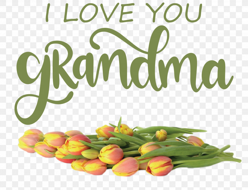 Grandmothers Day Grandma, PNG, 3000x2304px, Grandmothers Day, Fruit, Grandma, Local Food, Meter Download Free