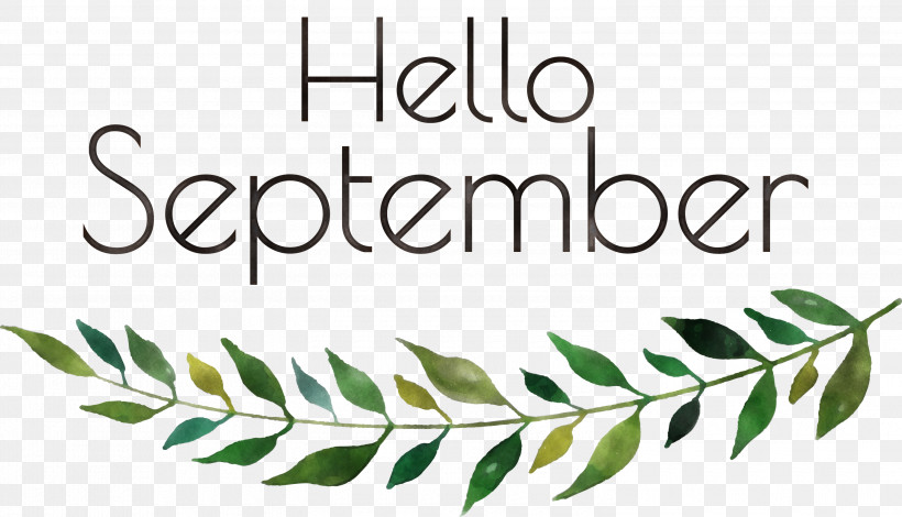 Hello September September, PNG, 3000x1722px, Hello September, Biology, Leaf, Line, Mathematics Download Free