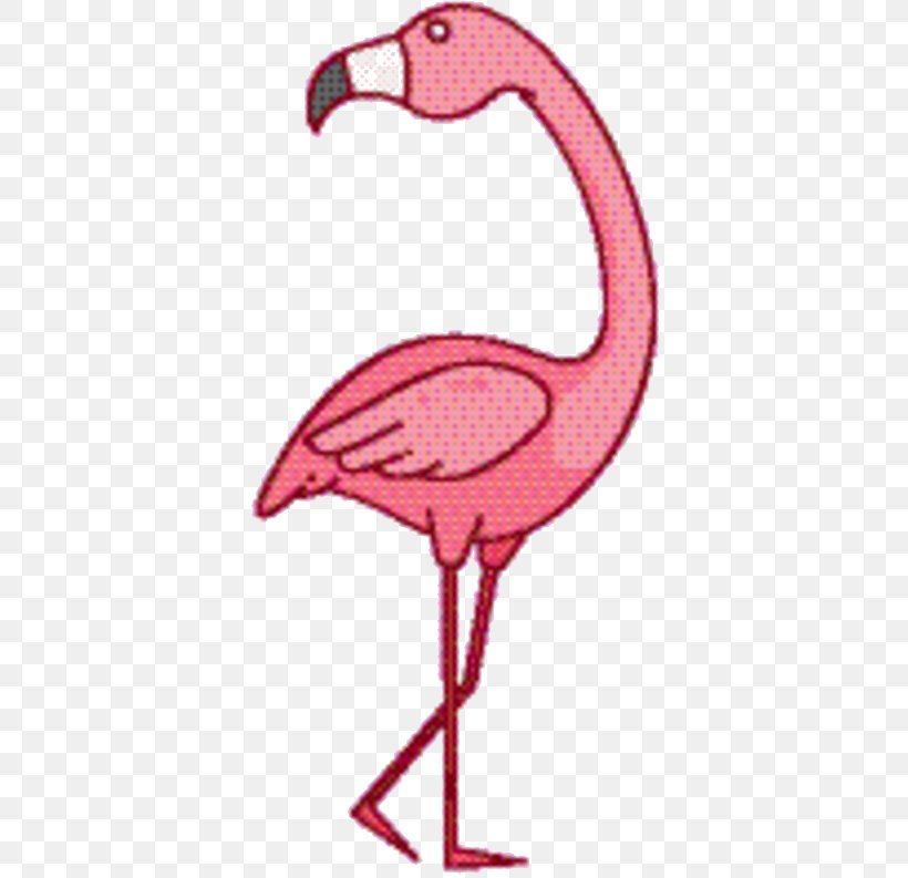 Pink Flamingo, PNG, 383x793px, Pink M, Beak, Bird, Flamingo, Greater Flamingo Download Free