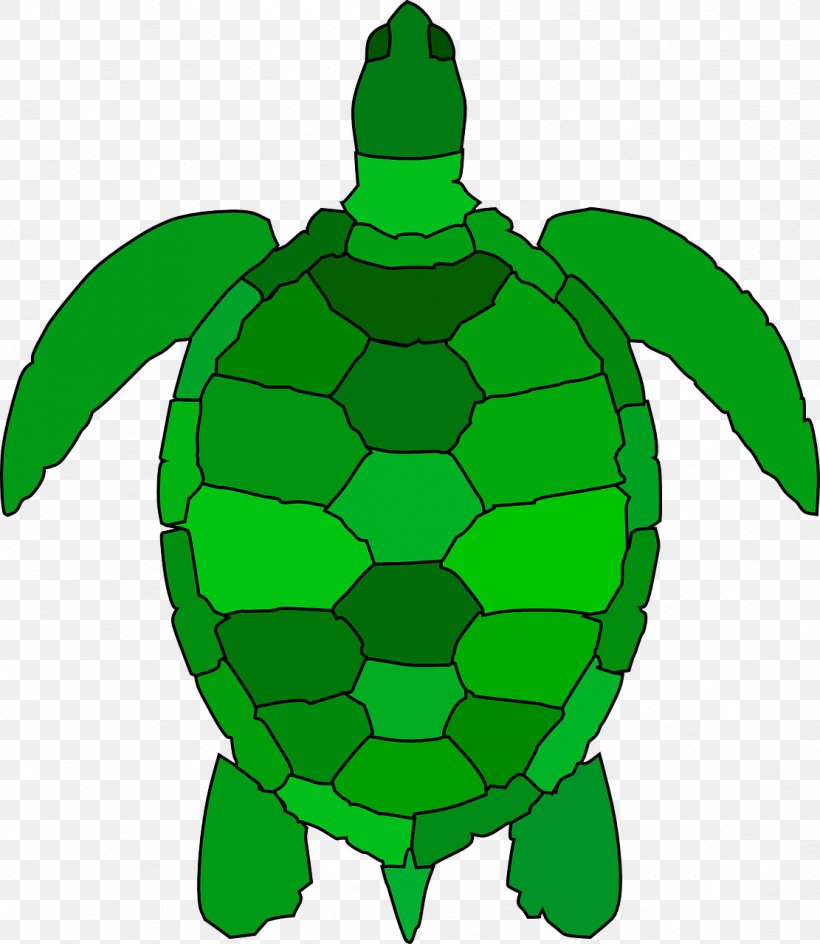 Sea Turtle Clip Art Openclipart Free Content, PNG, 1111x1280px, Turtle, Artwork, Drawing, Fictional Character, Grass Download Free