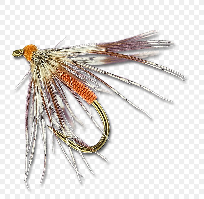 Artificial Fly Invertebrate, PNG, 800x800px, Artificial Fly, Bait, Fishing Bait, Fishing Lure, Invertebrate Download Free