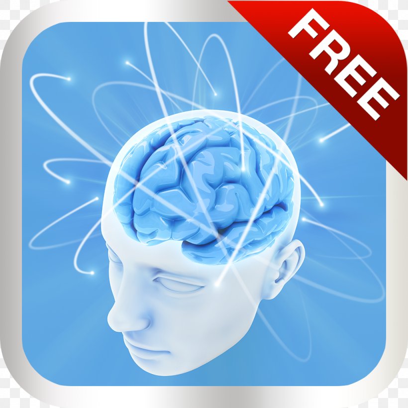 Brain Mind Mental Health Neuroplasticity Executive Functions, PNG, 1024x1024px, Brain, Blue, Cognition, Cognitive Science, Electric Blue Download Free