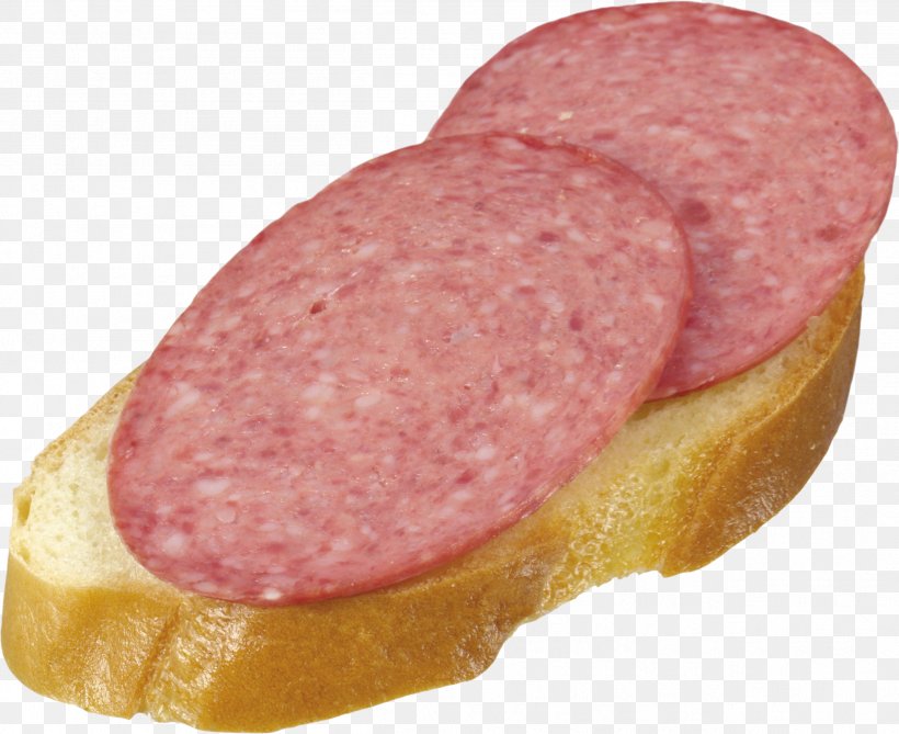 Butterbrot Hamburger Breakfast Sandwich, PNG, 2513x2053px, Butterbrot, Animal Fat, Animal Source Foods, Back Bacon, Bologna Sausage Download Free