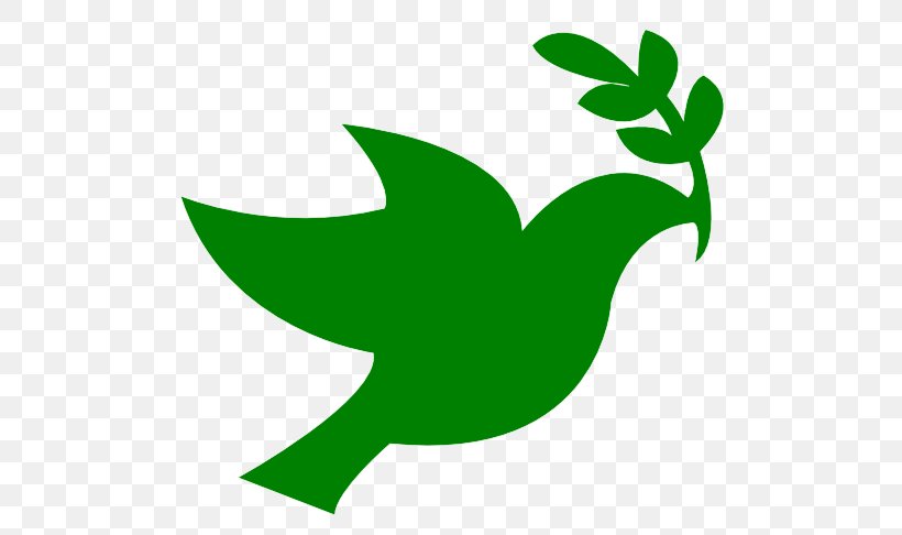 Columbidae International Day Of Peace Doves As Symbols Clip Art, PNG, 555x486px, Columbidae, Artwork, Doves As Symbols, Drawing, Flora Download Free