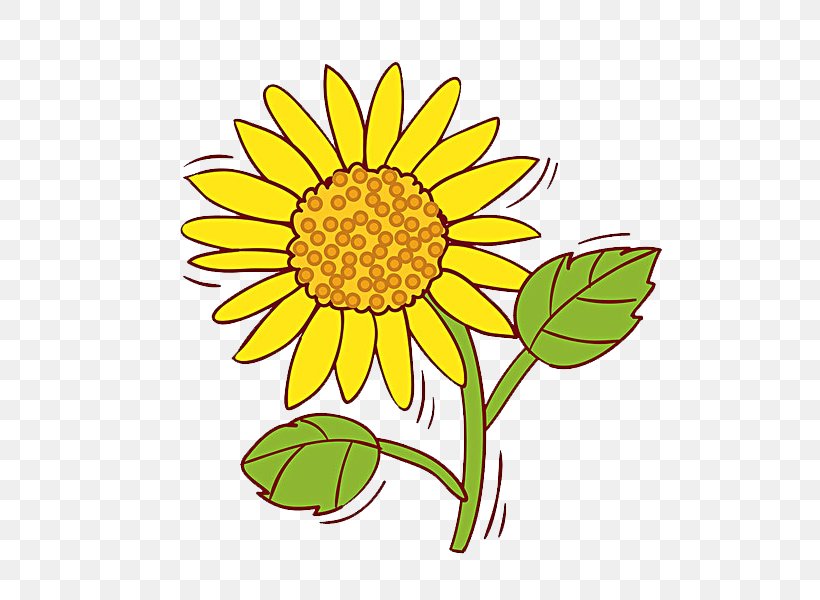 Common Sunflower Clip Art, PNG, 600x600px, Common Sunflower, Artwork, Cartoon, Chrysanths, Cut Flowers Download Free
