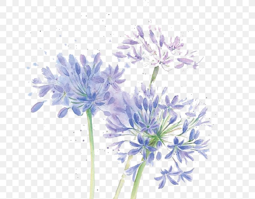 Floral Design Cut Flowers Chrysanthemum Blue, PNG, 658x642px, Watercolour Flowers, Art, Autumn, Blue, Chicory Download Free