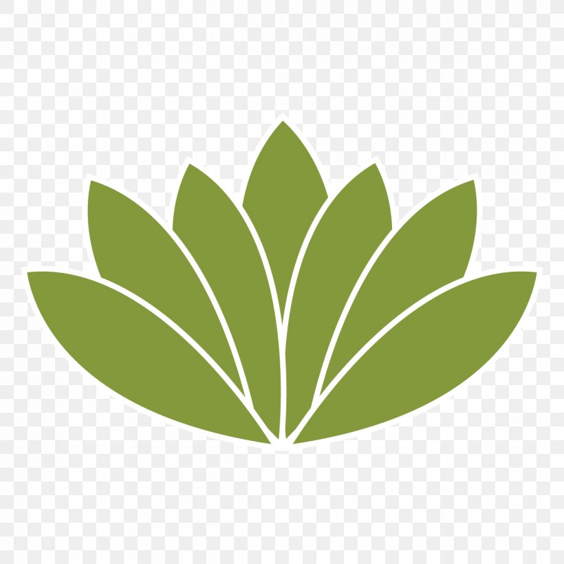 Leaf Green Plant Logo Tree, PNG, 1200x1200px, Leaf, Flower, Green, Logo, Plant Download Free