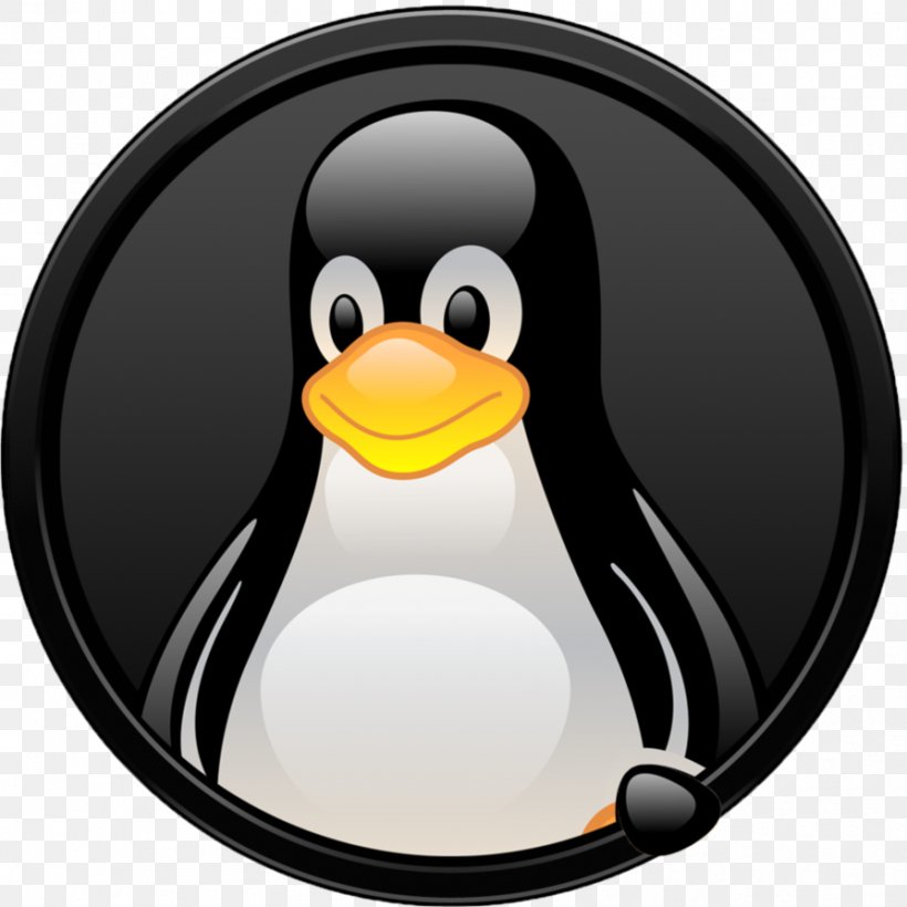 Linux Distribution Free And Open-source Software Open-source Model, PNG, 894x894px, Linux, Beak, Bird, Computer Software, Flightless Bird Download Free