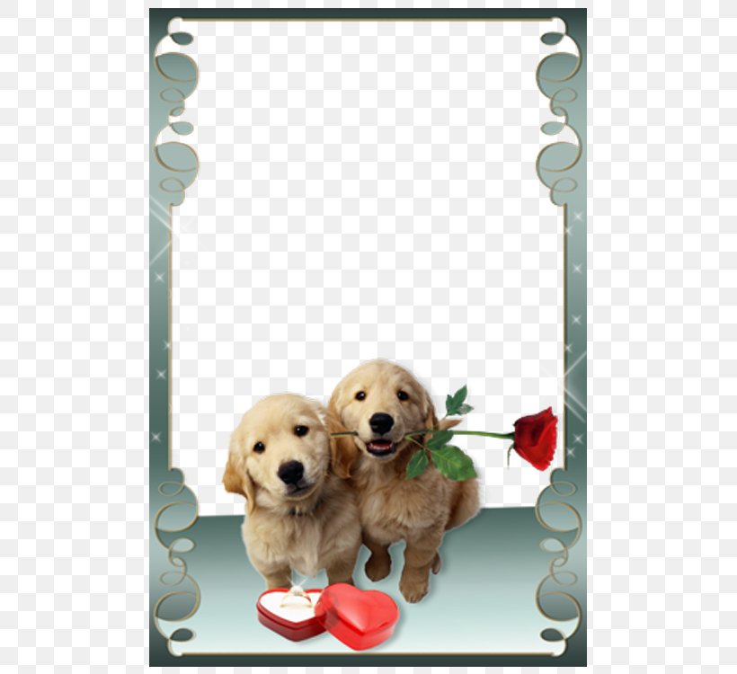 Love Photo Frames Picture Frame Photography Android, PNG, 750x750px, Love Photo Frames, Android, Android Application Package, Carnivoran, Companion Dog Download Free