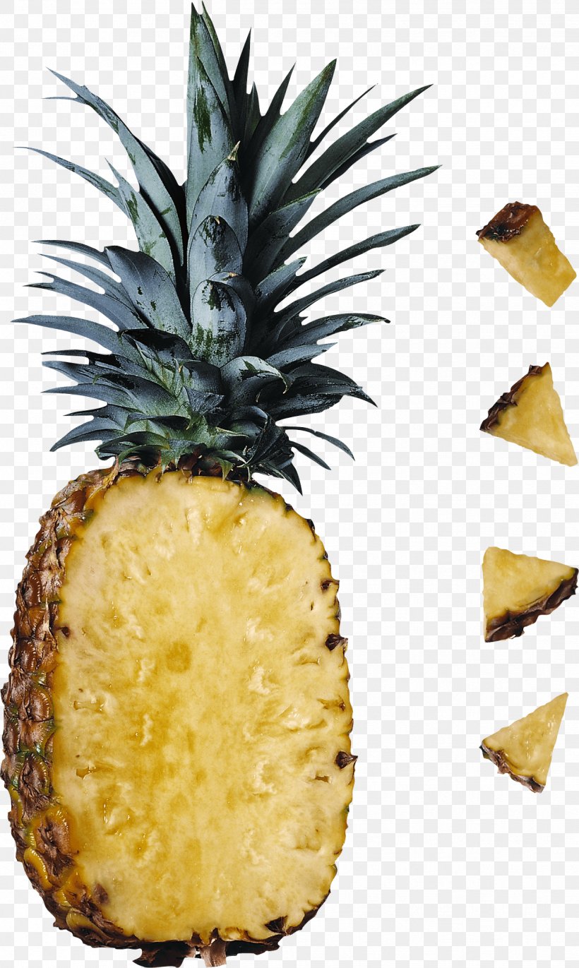 Digestive Enzyme Food Protease Bromelain, PNG, 1237x2069px, Food, Amylase, Ananas, Bread, Bromeliaceae Download Free
