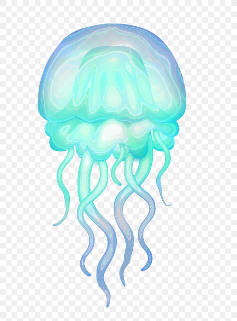 Jellyfish Image Desktop Wallpaper Adobe Photoshop, PNG, 800x1111px, Jellyfish, Cartoon, Cnidaria, Copyright, Image Resolution Download Free