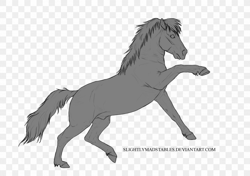Line Art Mane Drawing Mustang, PNG, 3508x2480px, Line Art, Animal Figure, Animation, Art, Blackandwhite Download Free