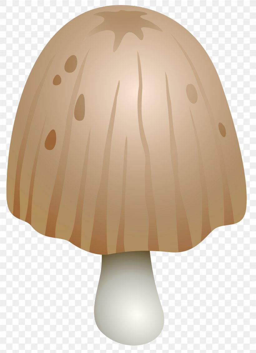 Mushroom Shaggy Ink Cap Fungus Clip Art, PNG, 4494x6197px, Mushroom, Art, Cartoon, Ceiling Fixture, Coprinus Download Free