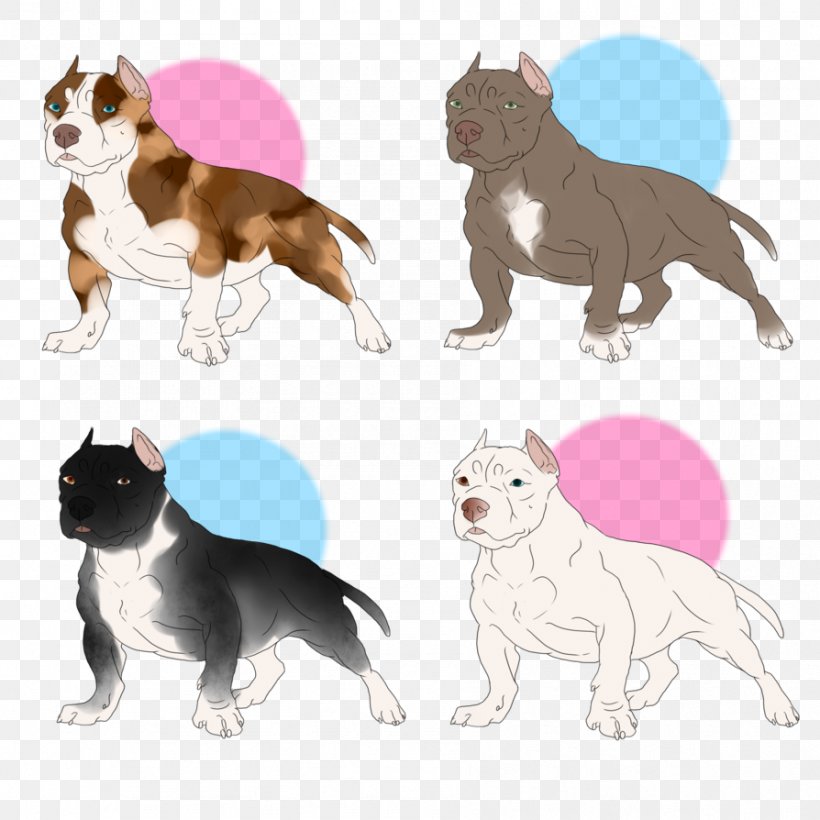 Boston Terrier Dog Breed Cat Non-sporting Group Breed Group (dog), PNG, 894x894px, Boston Terrier, Boston, Breed, Breed Group Dog, Carnivoran Download Free