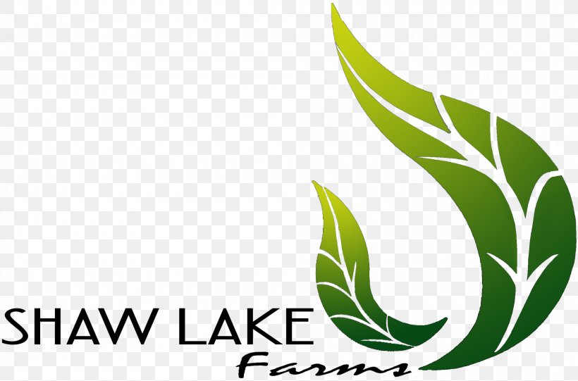 Leaf Logo Brand Plant Stem Font, PNG, 2000x1321px, Leaf, Brand, Grass, Green, Logo Download Free