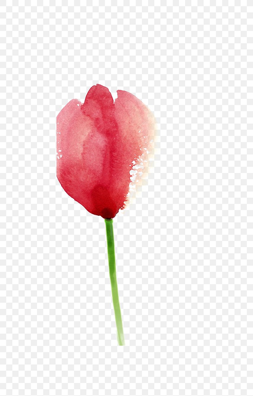 Tulip Painting Pink, PNG, 600x1282px, Tulip, Blue, Color, Flower, Flowering Plant Download Free