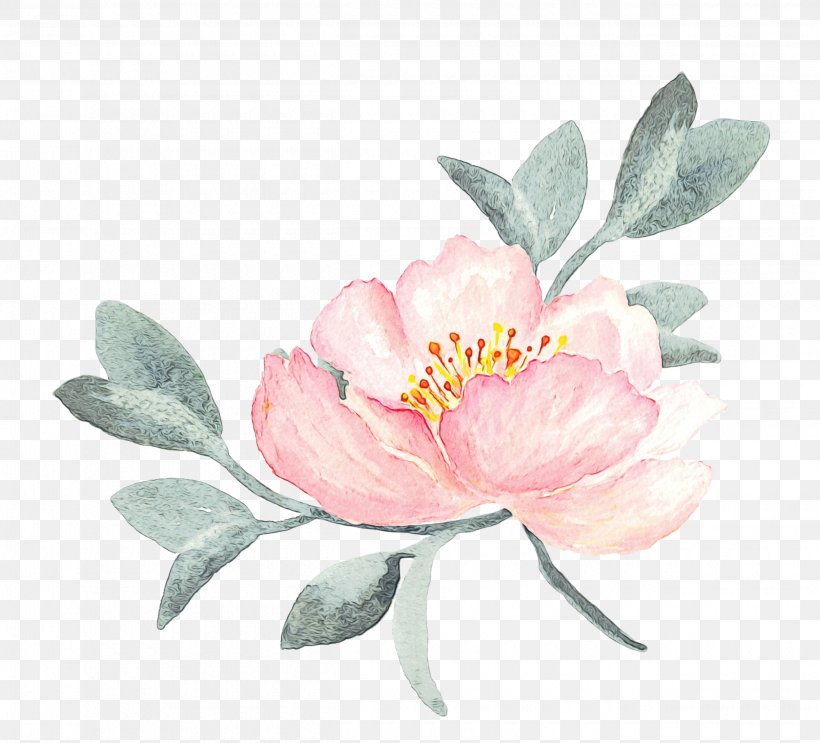 Flower Flowering Plant Pink Petal Plant, PNG, 2500x2266px, Watercolor, Camellia Sasanqua, Chinese Peony, Flower, Flowering Plant Download Free