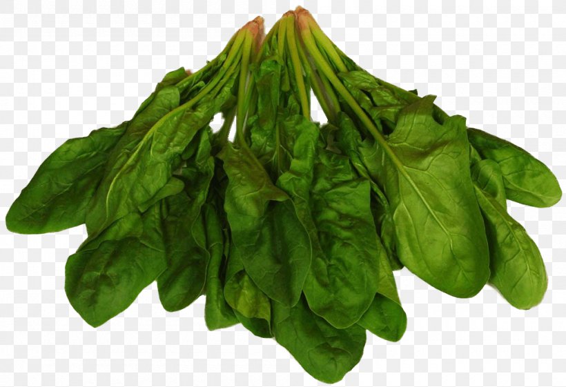 Spinach Food Chard Leaf Vegetable Eating, PNG, 1000x685px, Spinach, Baklava, Basil, Chard, Choy Sum Download Free